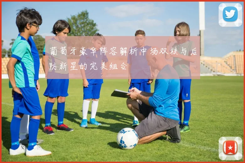 葡萄牙豪华阵容解析中场双核与后防新星的完美组合
